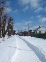 ...� ������� �� ���.