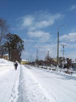 ������ ����