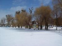 �������� ����� ���� ��������� ������