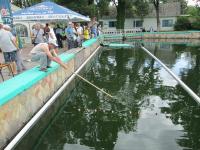 ϳ���� ����� �� �����