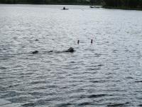 ����� ������� ������ �� ����� �� ����.