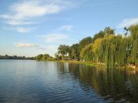 16 ������ 2013�.