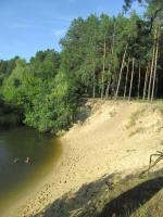 ���� ����