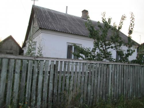 N33
