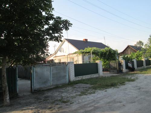 N19