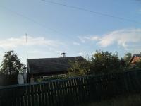 N31/1